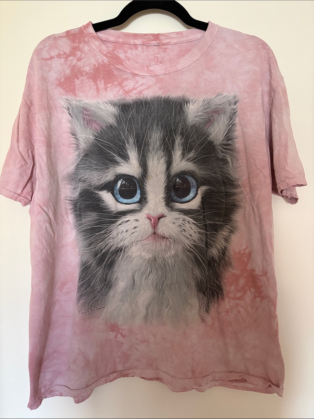 Cute Pink Cat Graphic Tee with Blue-Eyed Kitten 2013
